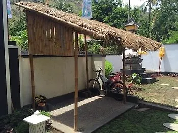 Kelapa Amed