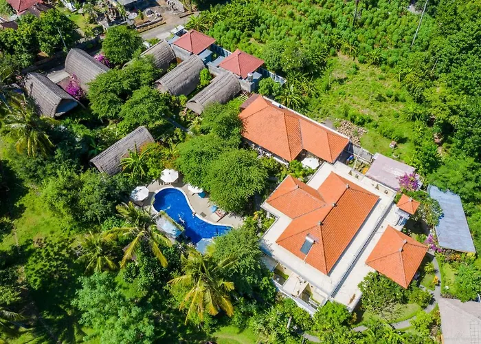 Kelapa Amed